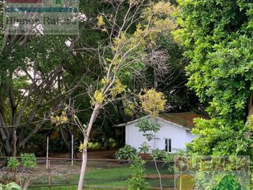 TERRENO EN VENTA EN XOCHITEPEC A UNOS MINUTOS DEL TEC DE MONTERREY, IDEAL PARA HOTEL, DESARROLLADOR, ASILO, CLINICA, JARDÍN DE EVENTOS, RANCHO