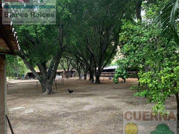 TERRENO EN VENTA EN XOCHITEPEC A UNOS MINUTOS DEL TEC DE MONTERREY, IDEAL PARA HOTEL, DESARROLLADOR, ASILO, CLINICA, JARDÍN DE EVENTOS, RANCHO