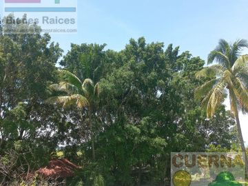 TERRENO EN VENTA EN XOCHITEPEC A UNOS MINUTOS DEL TEC DE MONTERREY, IDEAL PARA HOTEL, DESARROLLADOR, ASILO, CLINICA, JARDÍN DE EVENTOS, RANCHO