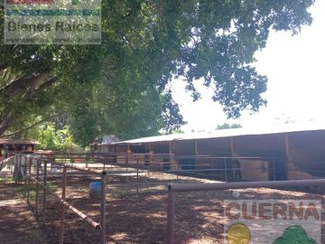 TERRENO EN VENTA EN XOCHITEPEC A UNOS MINUTOS DEL TEC DE MONTERREY, IDEAL PARA HOTEL, DESARROLLADOR, ASILO, CLINICA, JARDÍN DE EVENTOS, RANCHO