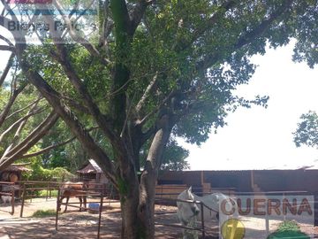 TERRENO EN VENTA EN XOCHITEPEC A UNOS MINUTOS DEL TEC DE MONTERREY, IDEAL PARA HOTEL, DESARROLLADOR, ASILO, CLINICA, JARDÍN DE EVENTOS, RANCHO