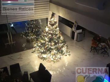 CASA EN VENTA Y RENTA  EN BURGOS BUGAMBILIA, 8 HABITACIONES