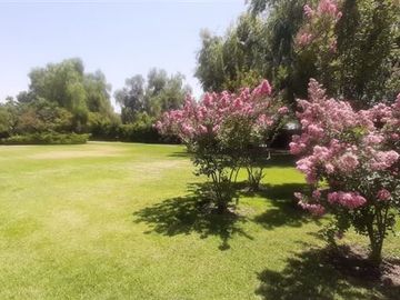 Casa en Venta en CONDOMINIO LOS CASTAÑOS, DE CHICUREO