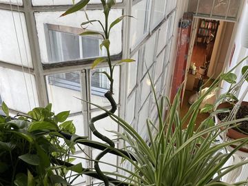 Hermoso departamento en destacado edificio - Zona Monserrat