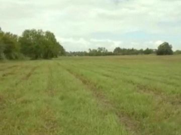 Campo  20 ha. en Villa Rosa, Pilar