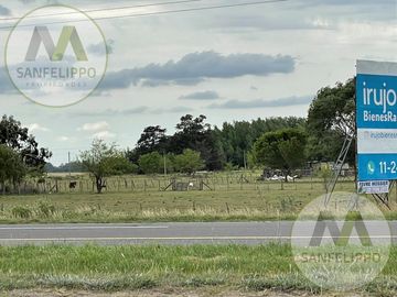 Campo - Chacras - Venta - Chascomús