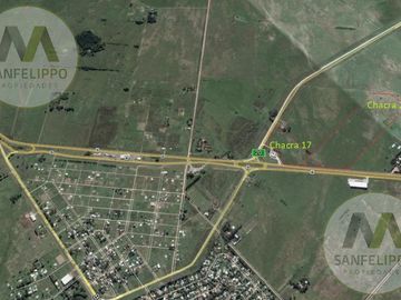 Campo - Chacras - Venta - Chascomús