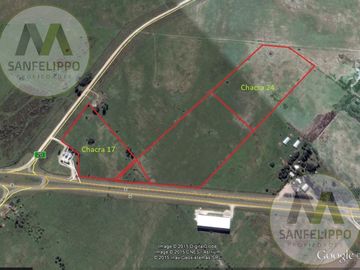 Campo - Chacras - Venta - Chascomús