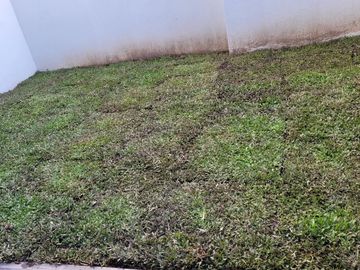 Duplex a estrenar 5,60 de ancho, 3 dormitorios + play. Cochera x 2.