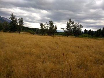 Chacra - Mallin Ahogado