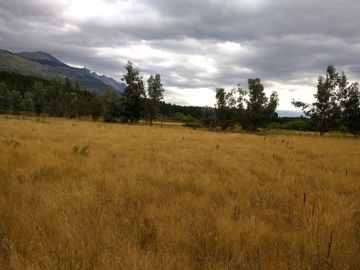 Chacra - Mallin Ahogado