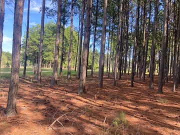Lotes a la venta en la Aldea Club de Campo - Colon Entre Rios desde USD 38.000!