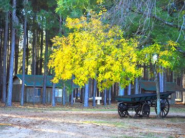 Lotes a la venta en la Aldea Club de Campo - Colon Entre Rios desde USD 38.000!
