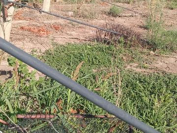 Exclusivo Viñedo de 20 Ha. en Cuadro Benegas