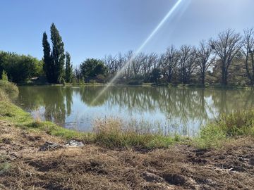 Exclusivo Viñedo de 20 Ha. en Cuadro Benegas
