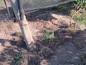 Exclusivo Viñedo de 20 Ha. en Cuadro Benegas