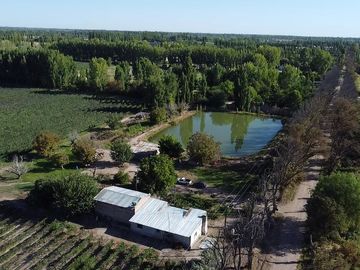 Exclusivo Viñedo de 20 Ha. en Cuadro Benegas