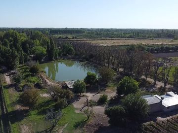 Exclusivo Viñedo de 20 Ha. en Cuadro Benegas