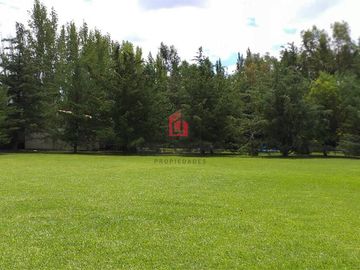 Finca en Rama Caida