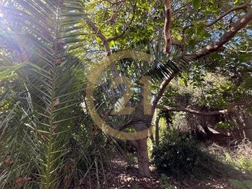 Se vende casa exclusiva en Serena Centro