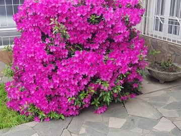 Venta casa 3 dormitorios, cochera, jardín y pileta - ARROYITO