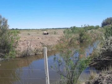 Campo - General Conesa