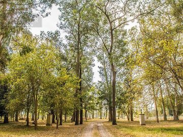 Terreno - Estancia Villa Maria