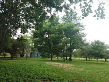 Campo en  Venta - CHACO, DPTO BERMEJO, ESTANCIA MONGAY, 5.700 Ha.
