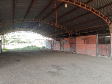 Campo en  Venta - CHACO, DPTO BERMEJO, ESTANCIA MONGAY, 5.700 Ha.