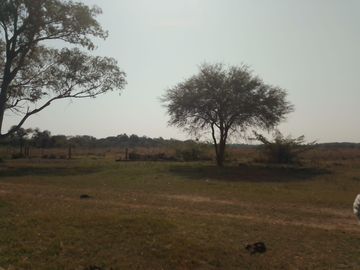Campo en  Venta - CHACO, DPTO BERMEJO, ESTANCIA MONGAY, 5.700 Ha.