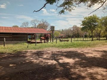 Campo en  Venta - CHACO, DPTO BERMEJO, ESTANCIA MONGAY, 5.700 Ha.