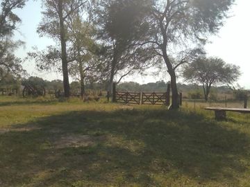 Campo en  Venta - CHACO, DPTO BERMEJO, ESTANCIA MONGAY, 5.700 Ha.