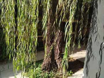 Vendo Casa en Housing Privado, Barrio Villa Belgrano