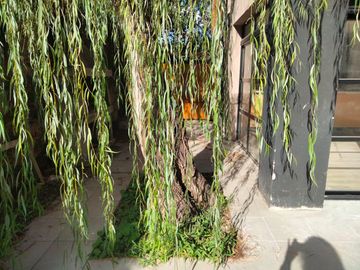 Vendo Casa en Housing Privado, Barrio Villa Belgrano