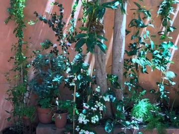 VENTA, EN RECOLETA, 3 AMBIENTES, GRAN  PATIO.