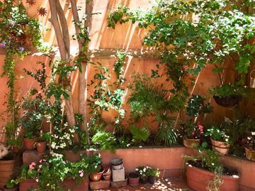 VENTA, EN RECOLETA, 3 AMBIENTES, GRAN  PATIO.