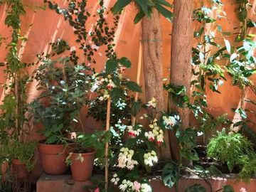 VENTA, EN RECOLETA, 3 AMBIENTES, GRAN  PATIO.
