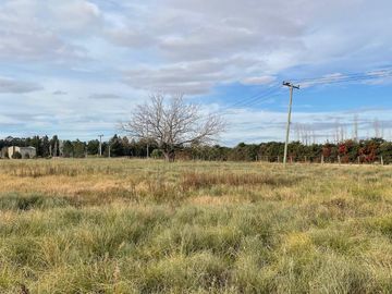 2 CHACRAS EN VENTA, BARRIO CERRADO LAS VIZCACHAS, LOS CARDALES