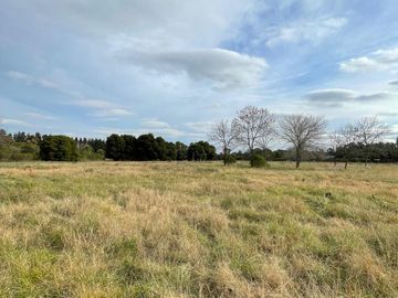 2 CHACRAS EN VENTA, BARRIO CERRADO LAS VIZCACHAS, LOS CARDALES