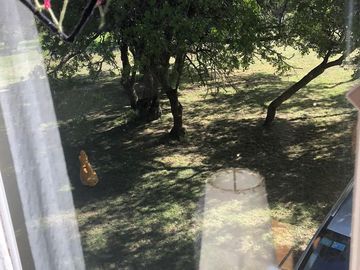 Chacra para 7 personas, en alquiler temporario en Pinamar