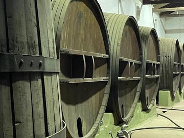 Bodega en Maipú Mendoza