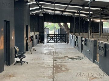 Oportunidad Alquiler Chacra con Caballerizas, Cancha Polo y Lounge Eventos Corporativos - Zona Pilar