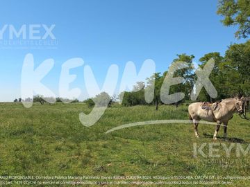 Campo en de 127 hectareas en General Belgrano, Buenos Aires