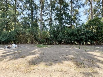 Venta de departamento en Enjoy Canning