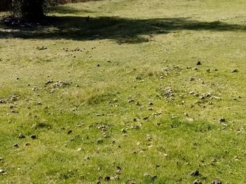 Chacra en  Mallin Ahogado - El Bolson