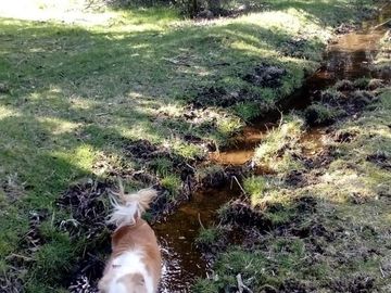 Chacra en  Mallin Ahogado - El Bolson