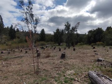 Chacra en  Mallin Ahogado - El Bolson