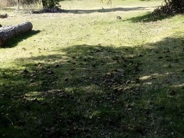 Chacra en  Mallin Ahogado - El Bolson