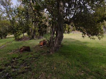 Chacra en  Mallin Ahogado - El Bolson