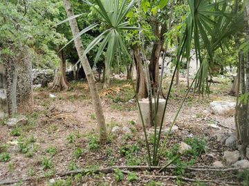 TERRENO EN VENTA EN BACA, YUCATÁN